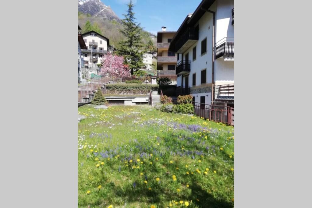 Ferrari'S: Bright Apartment With Magnificent View Chiesa in Valmalenco Exterior foto